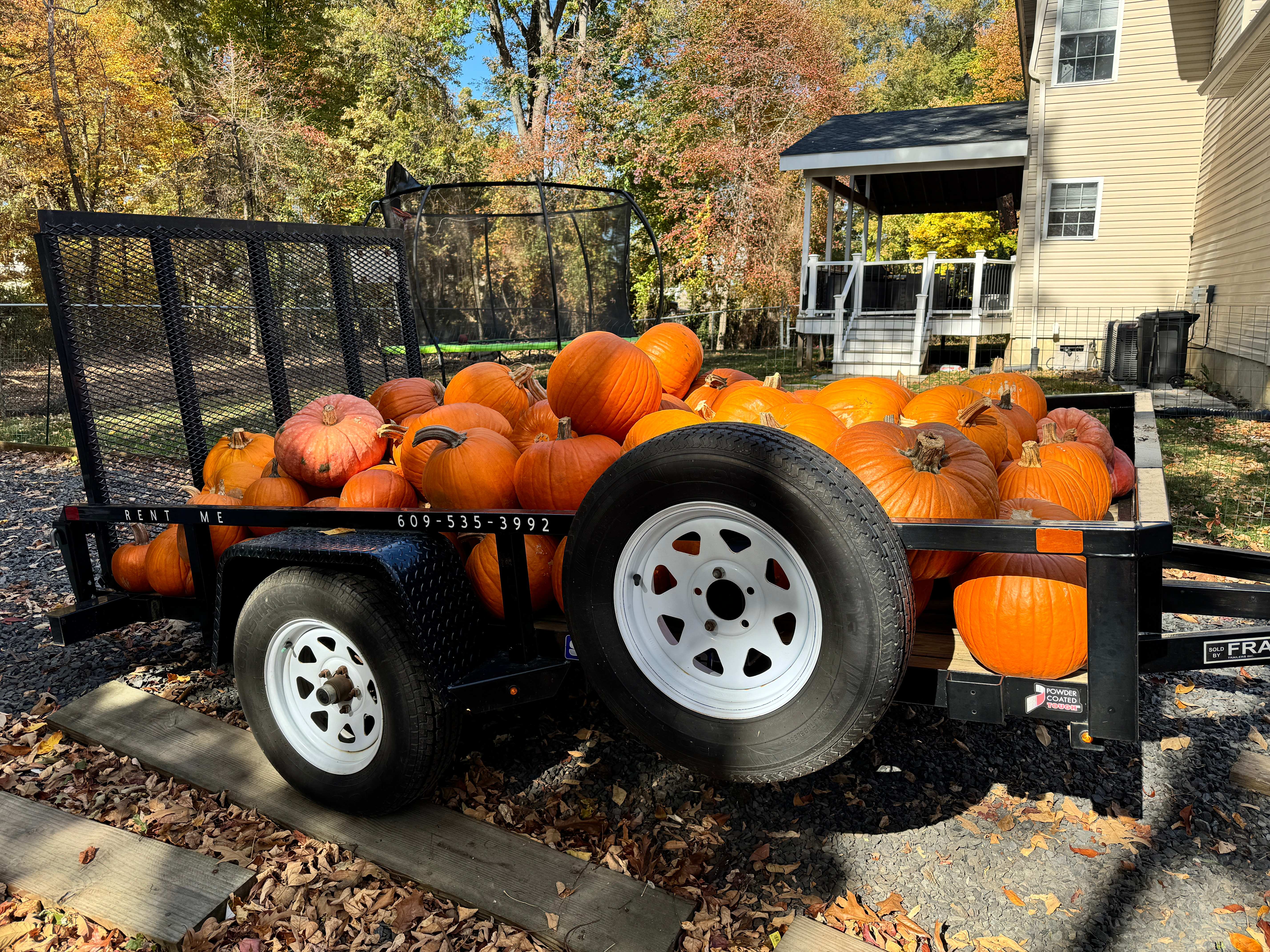 6' x 10' Utility Trailer 2